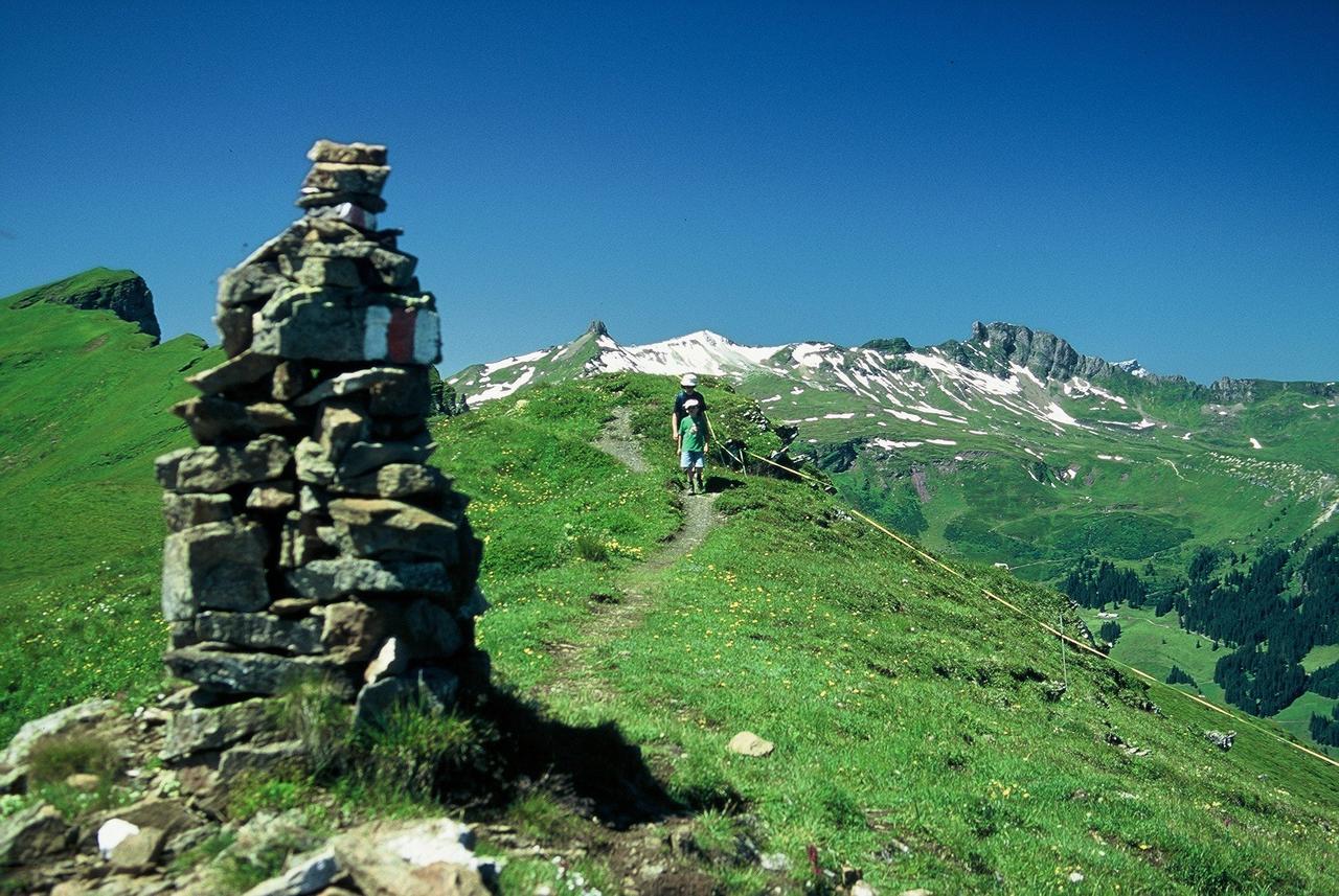 Berghotel Schonhalden Flums Dış mekan fotoğraf